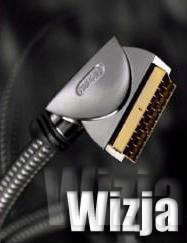 Wizja
